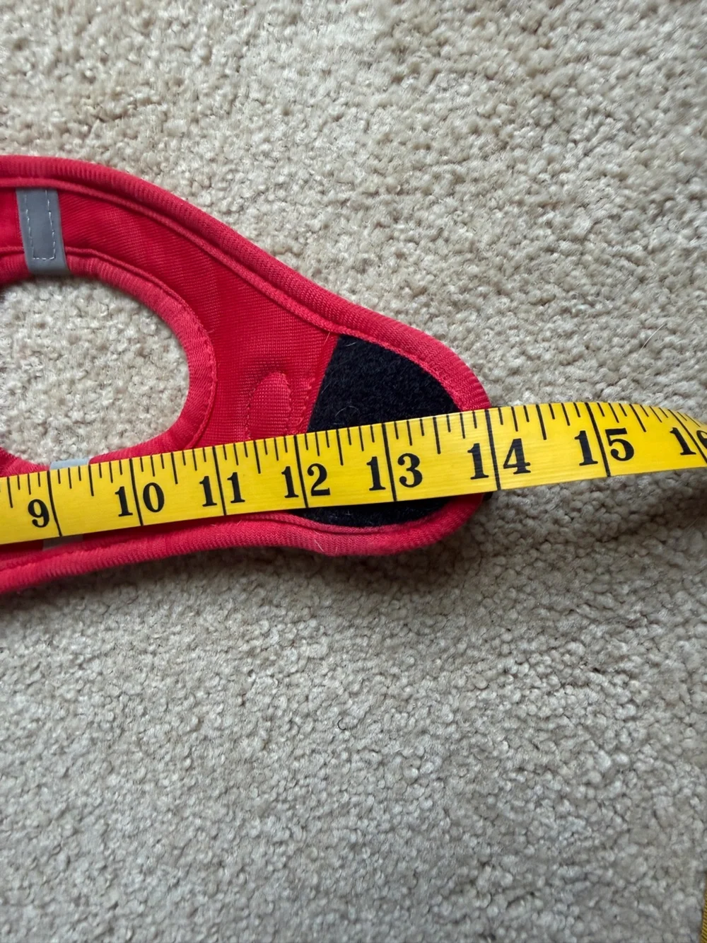 Joytail Red Harness